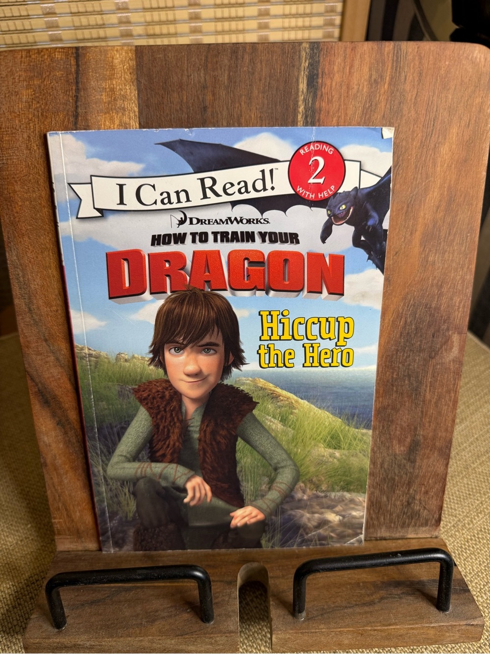 DreamWorks How to Train Your Dragon - Hiccup the Hero paperbark